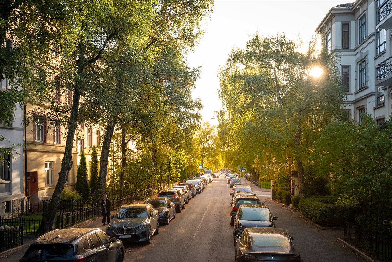 Sorgenfrigata er kjent for sine brede fine forhager og unike arkitektur som gir denne delen av Majorstuen et tilbaketrukket, privat og grønt inntrykk. Galleribilde
