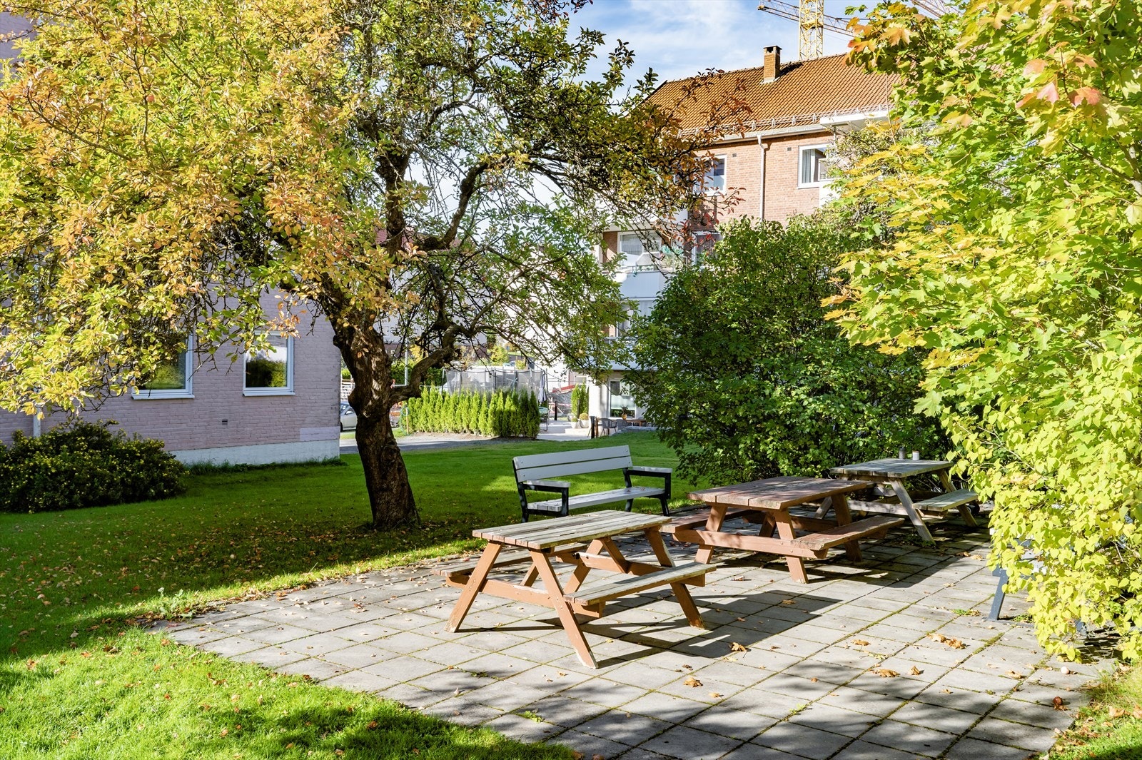 Fantastisk bakgård dekket av grønne omgivelser. Galleribilde