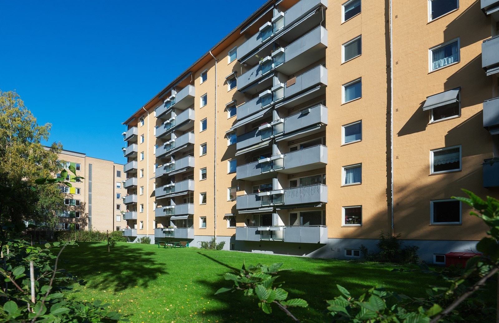 Pent opparbeidet fellesareal med plen og beplantning Galleribilde