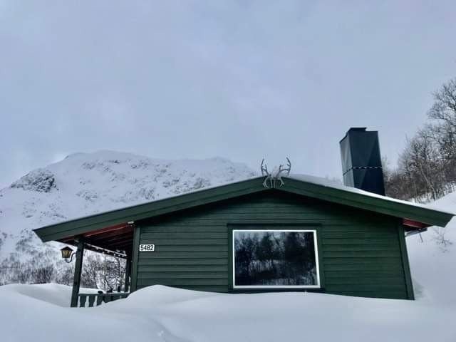 Nymalt hytte og nytt vindu i stuen Galleribilde