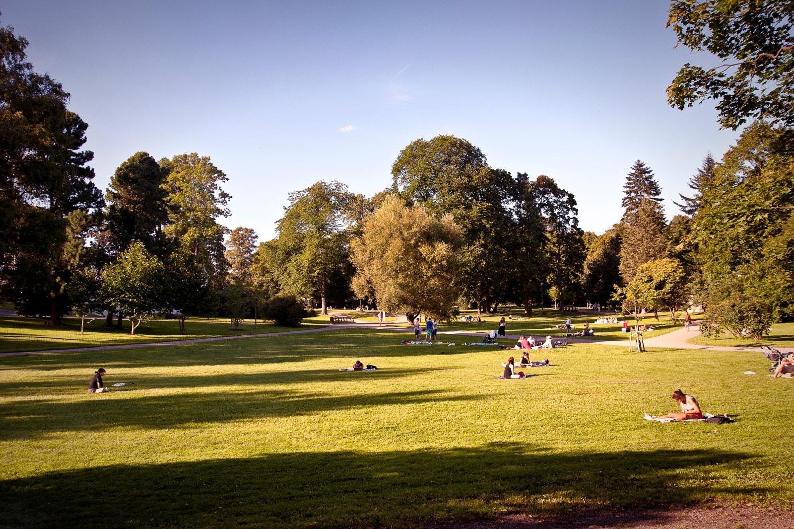Frognerparken med store grøntområder er rett ved leiligheten. Galleribilde