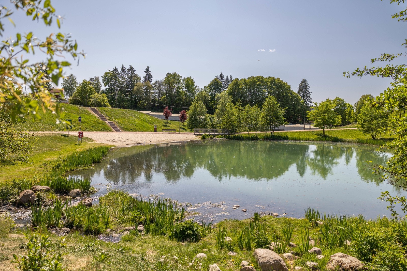 Bjerkedalsdammen. Galleribilde