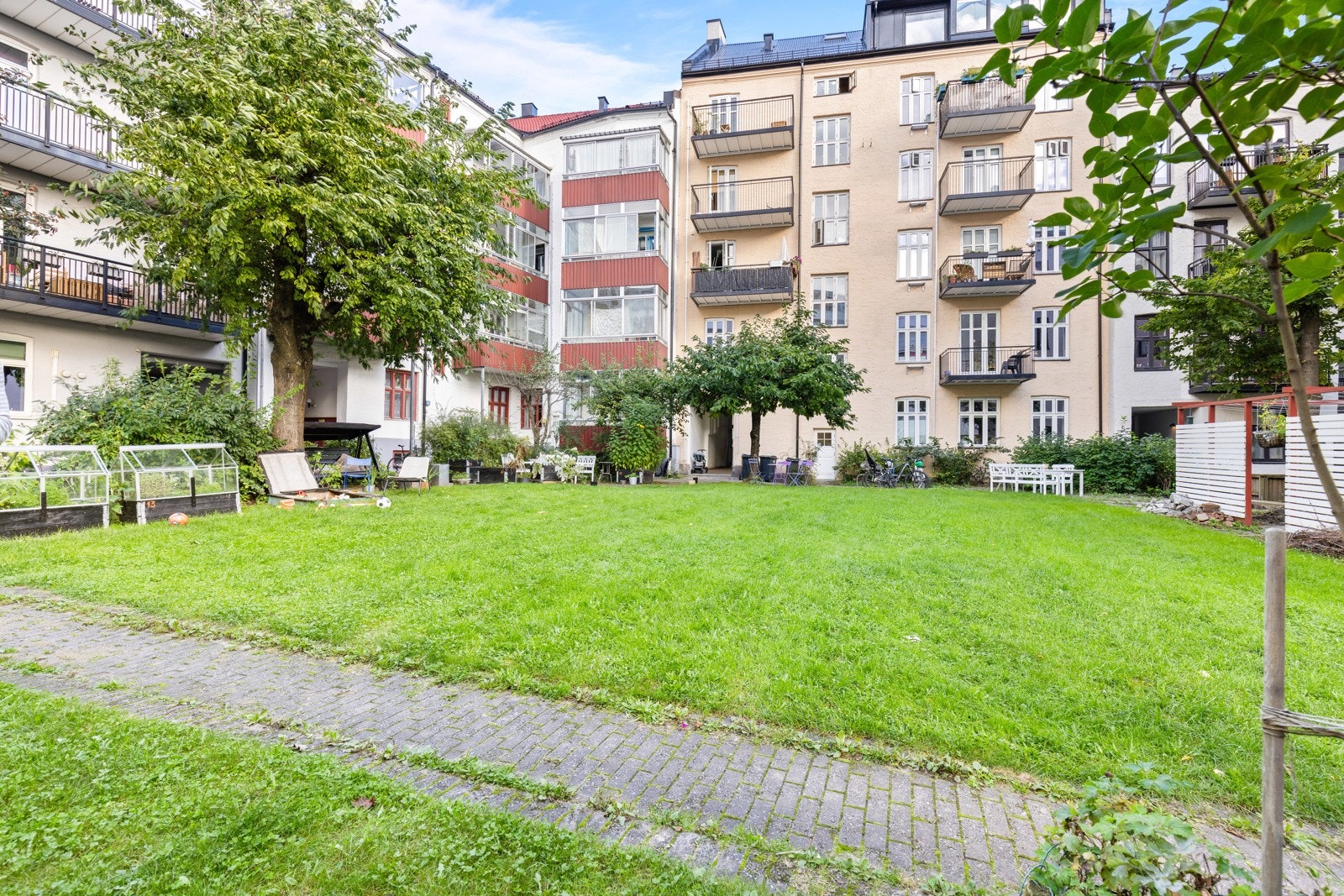 Stor plen i bakgården. Galleribilde
