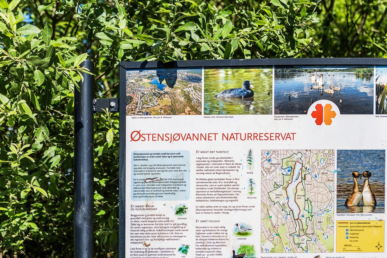 Rett ved boligen ligger Østmarka som byr på milevis med opparbeidede turstier, idylliske badevann og utfartssteder Galleribilde