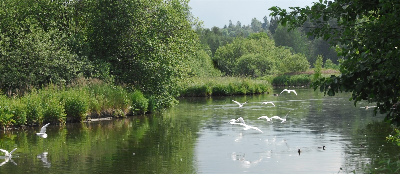 Østensjøvannet ligger en spasertur fra boligen, her er det en rekke flotte turstier. Galleribilde