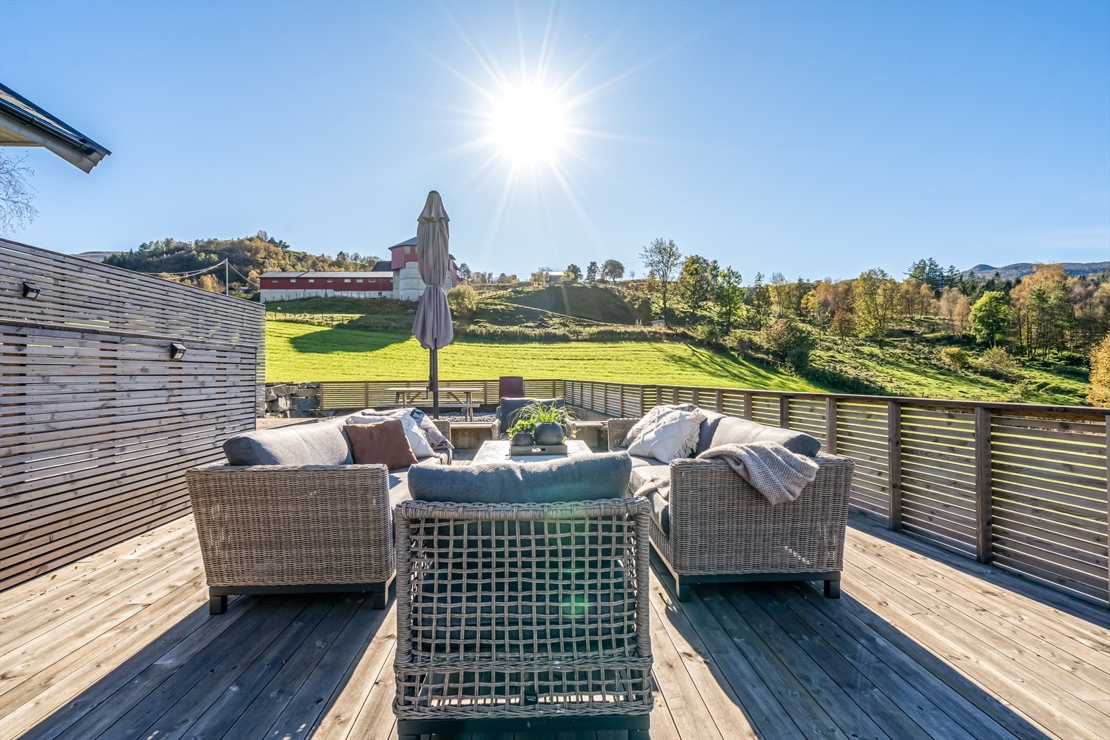 Terrasse Galleribilde