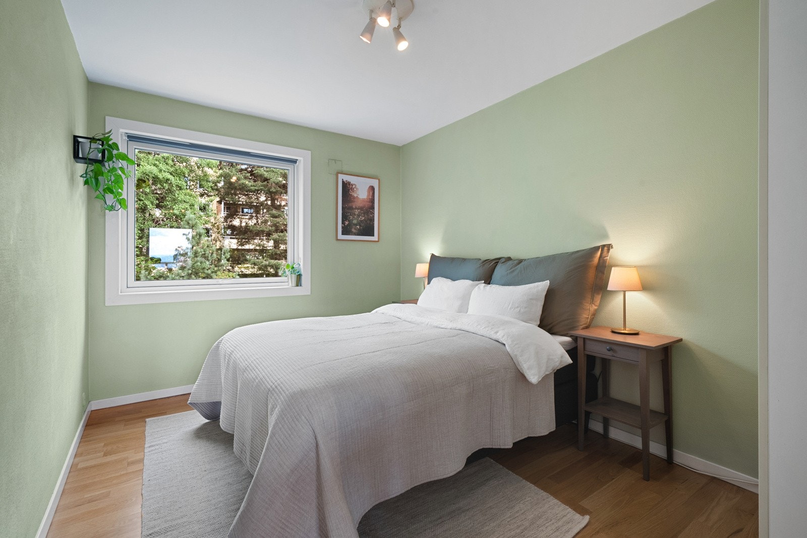 Fra stuen er det dør inn til et romslig soverom, lunt innredet med eikeparkett på gulvet og malte vegger i en rolig grønnfarge. Galleribilde
