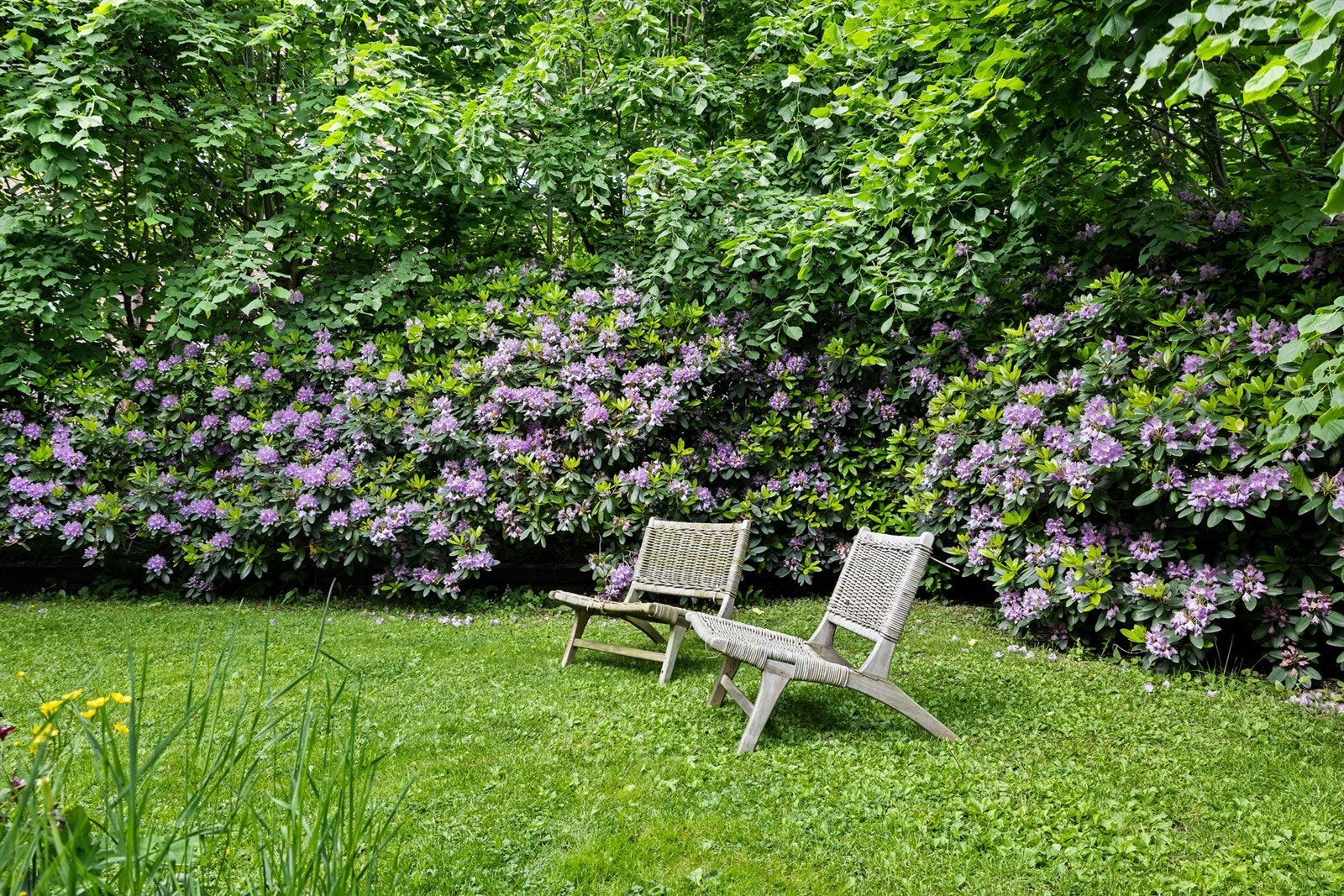 Halvdan Svartes gate 20 Galleribilde