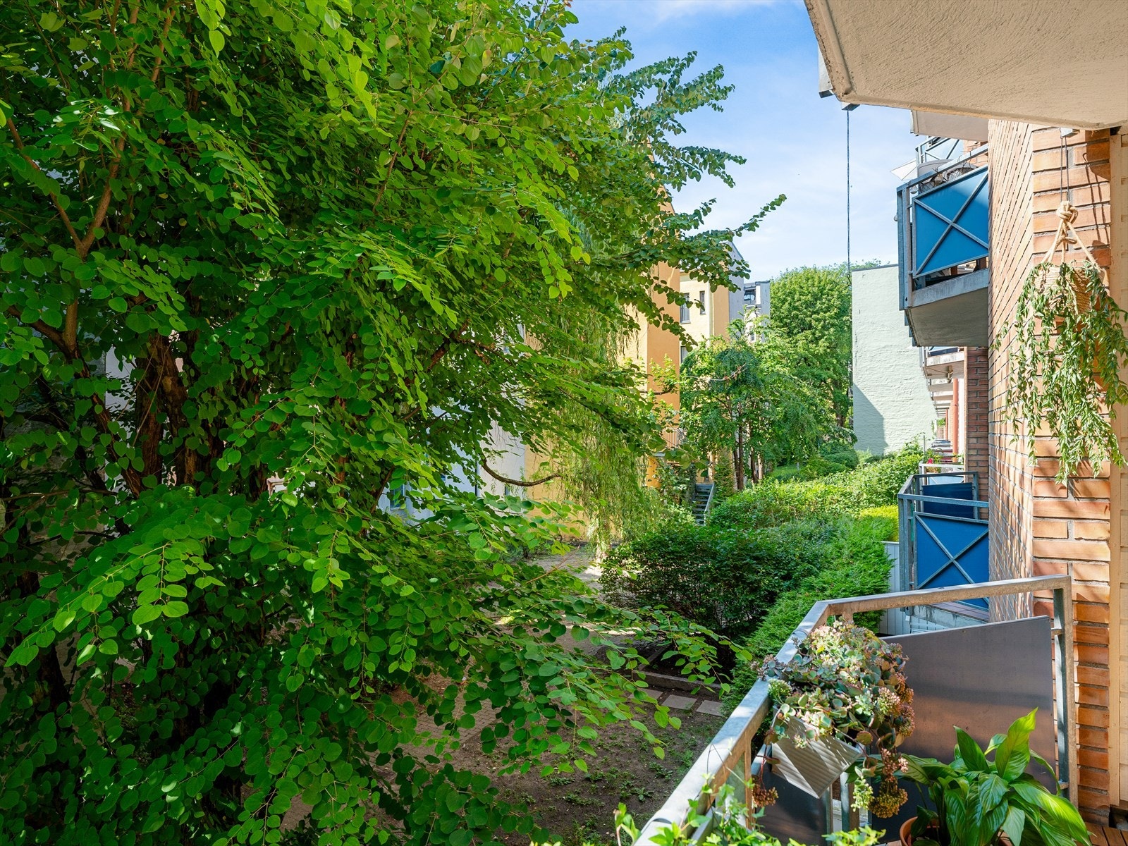 Grønt, fint og skjermet! Galleribilde