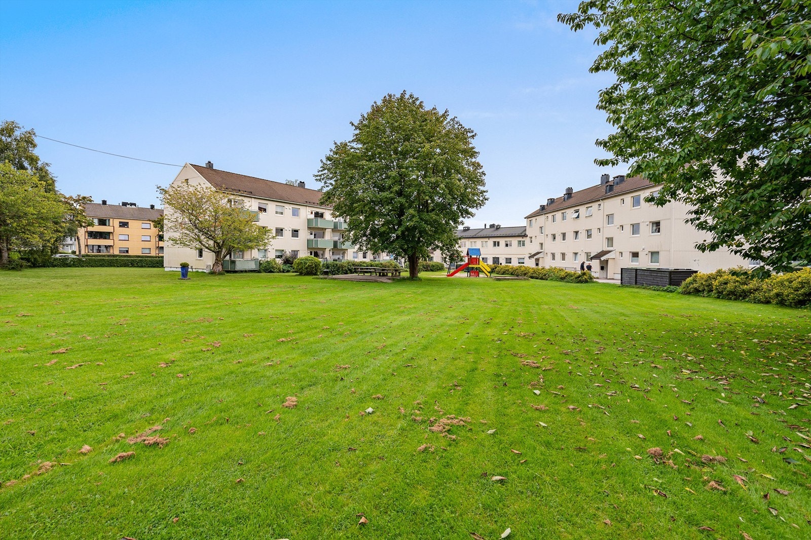 Fellesområde Galleribilde