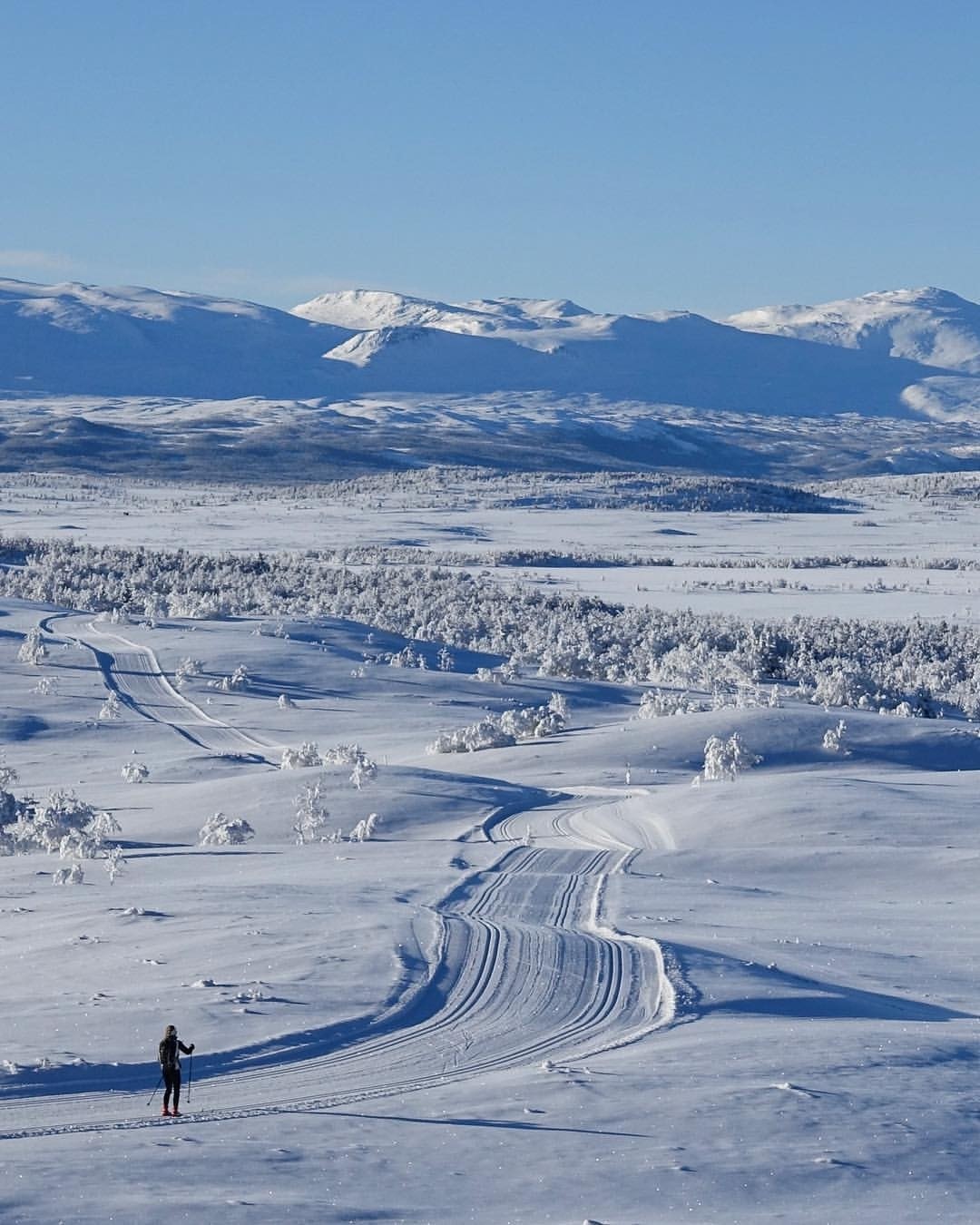 Milevis med flotte skiløyper 2 Galleribilde