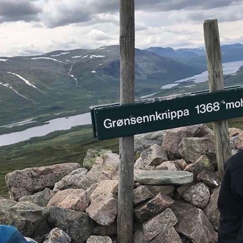 Grønsennknippa - 1368 moh Galleribilde