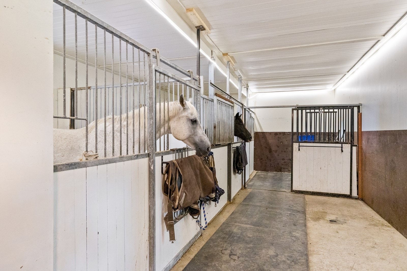 Låven er innredet med 4 hestebokser. Galleribilde