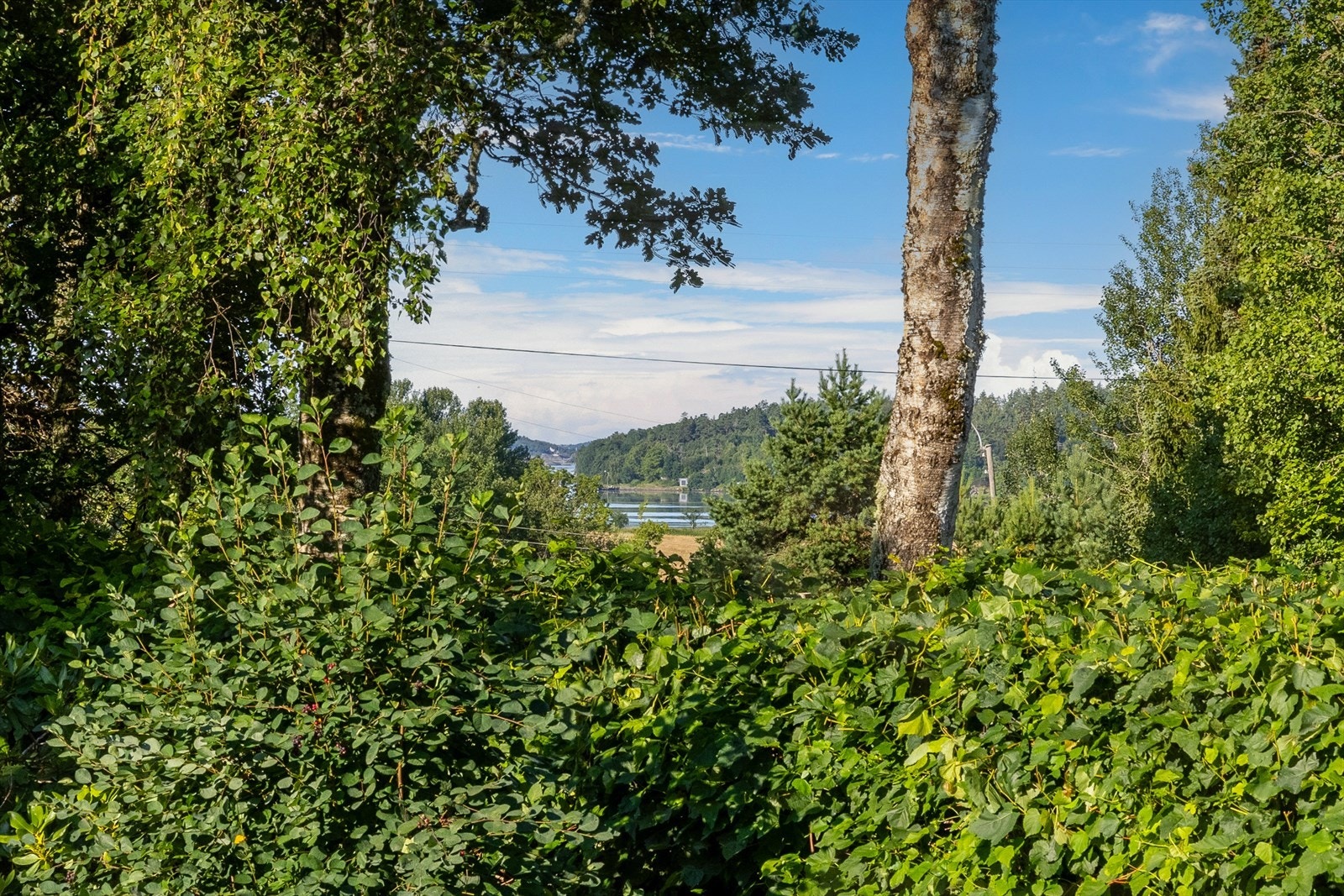 Utsikt fra hagen mot viksfjord. Galleribilde