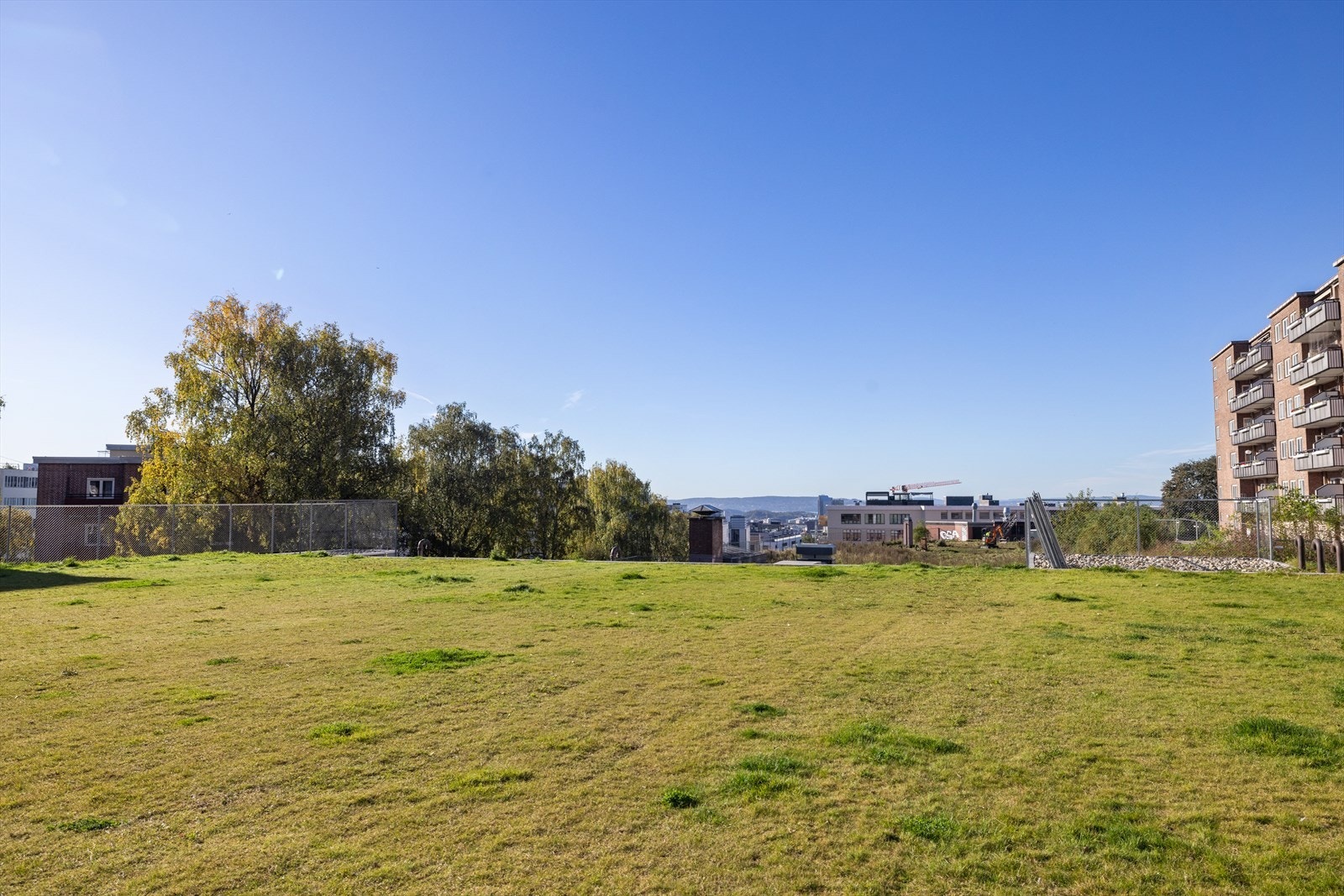 Store, flotte grøntområder med utsikt Galleribilde