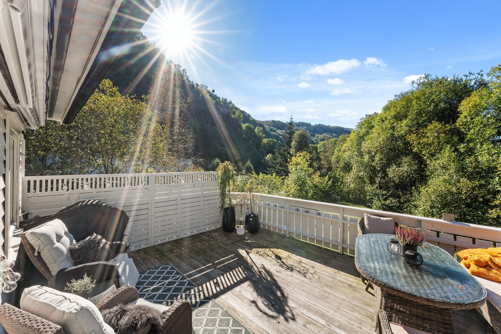 Usjenert beliggenhet. Galleribilde