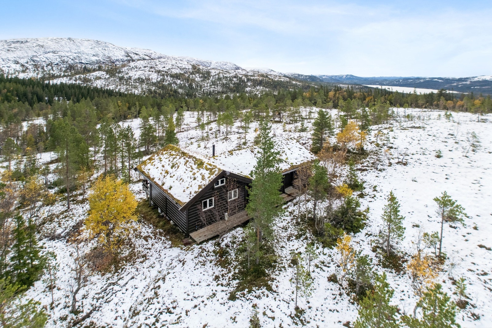 Sjarmerende og solid hytte i tradisjonell stil med torvtak og mørkt treverk - oppført i 2011. Galleribilde