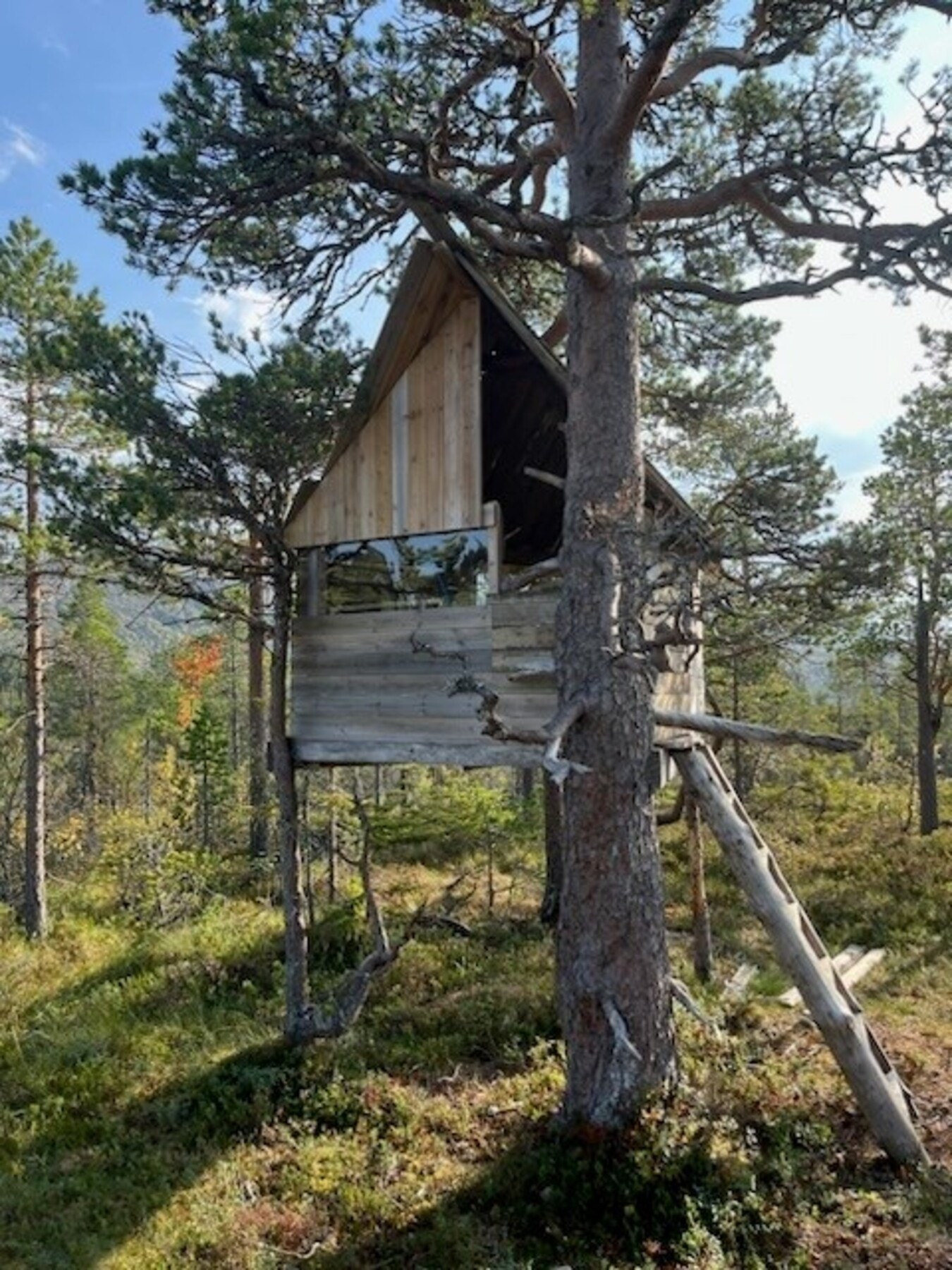 Nærområdet. Galleribilde