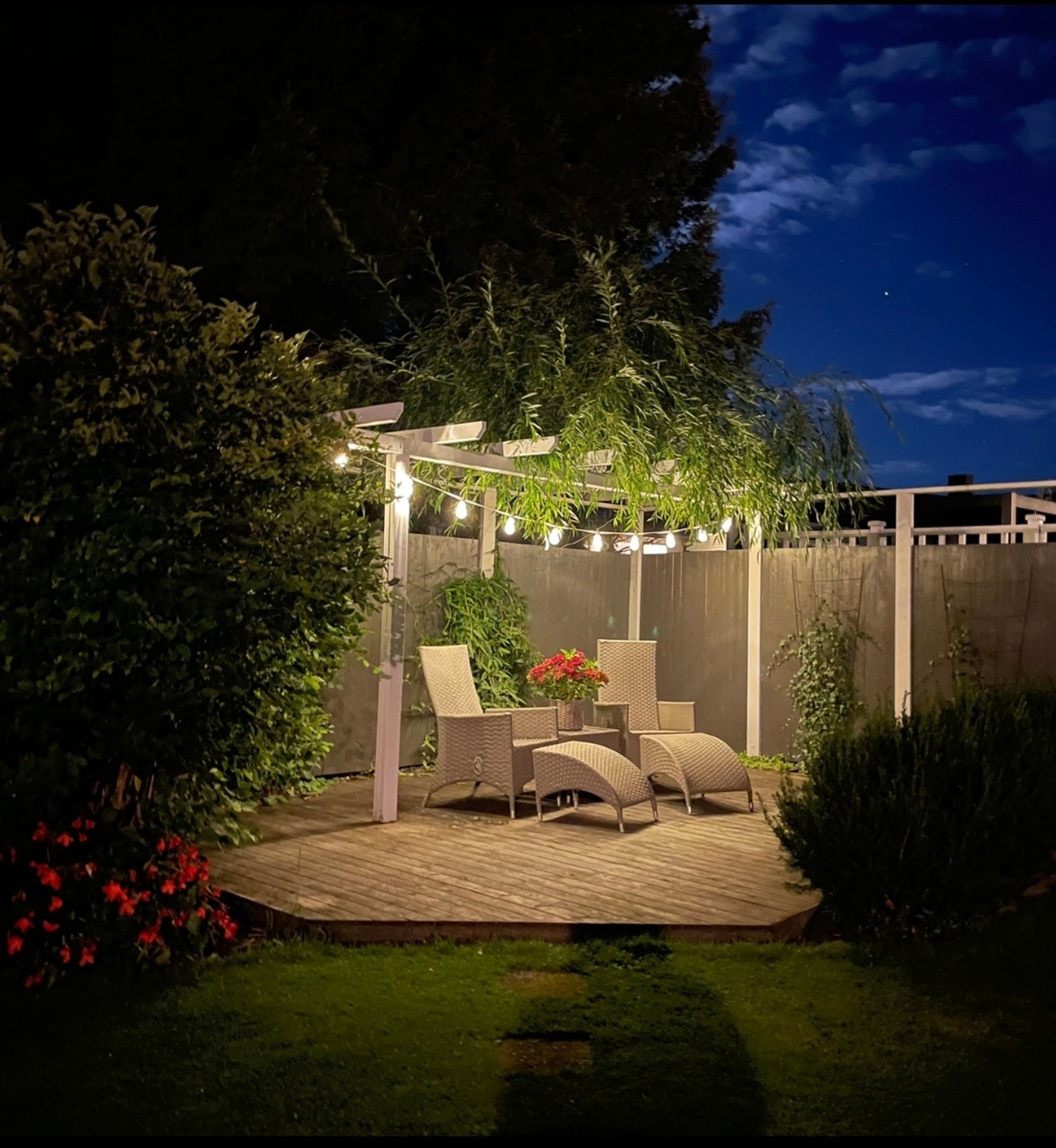 Selgers eget kveldsbilde. Galleribilde