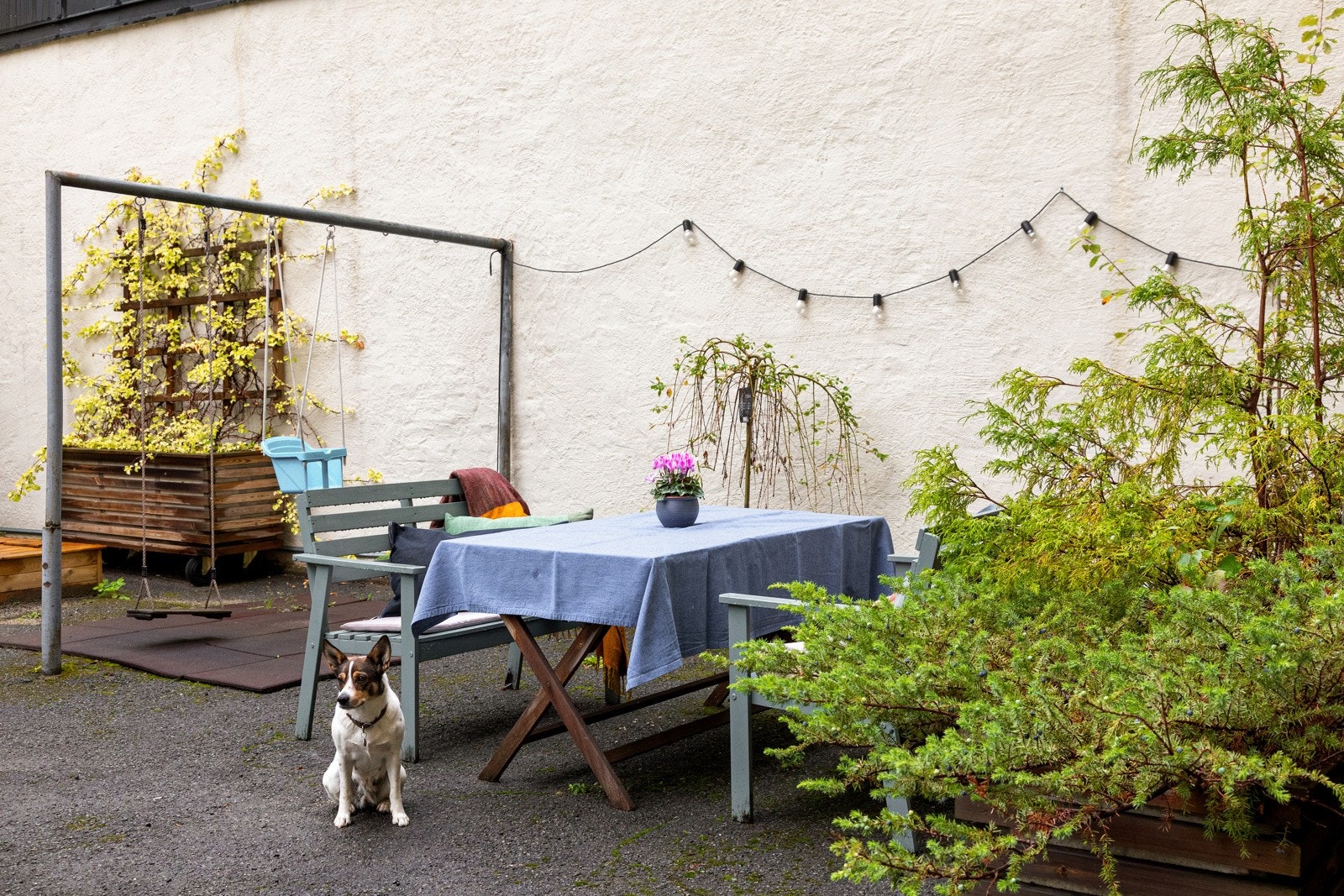 Her kan naboer, venner og familie samles Galleribilde