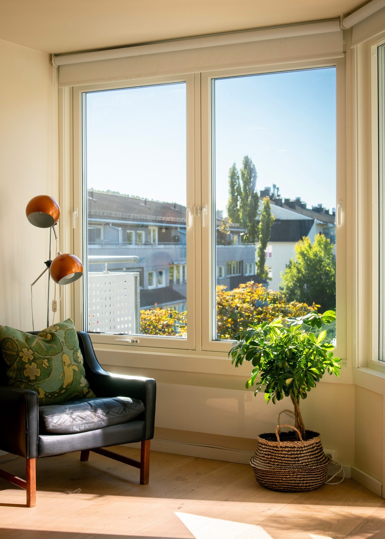 Nyt store vindusarealer som slipper inn rikelig med lys hele året. Galleribilde