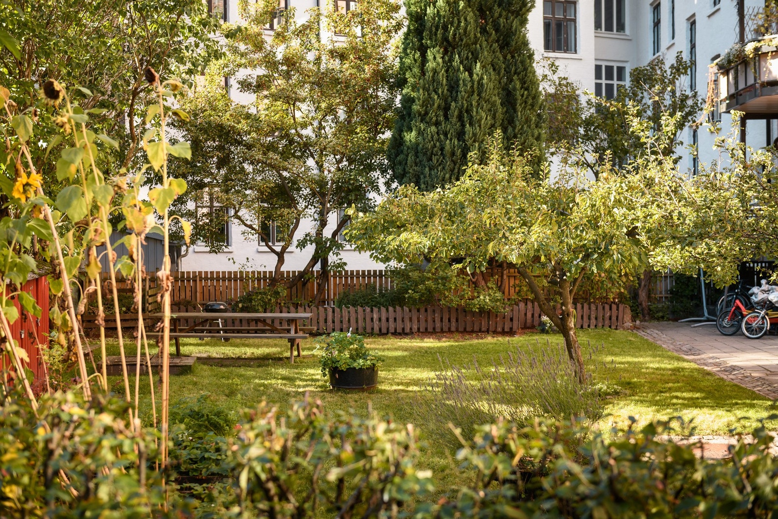 Det legges godt til rette for trivsel. Galleribilde