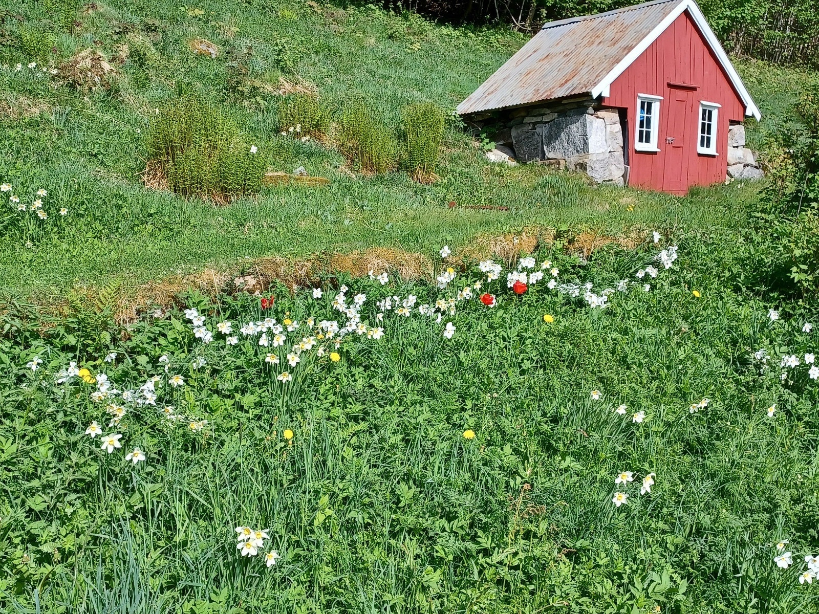 Røslia Galleribilde