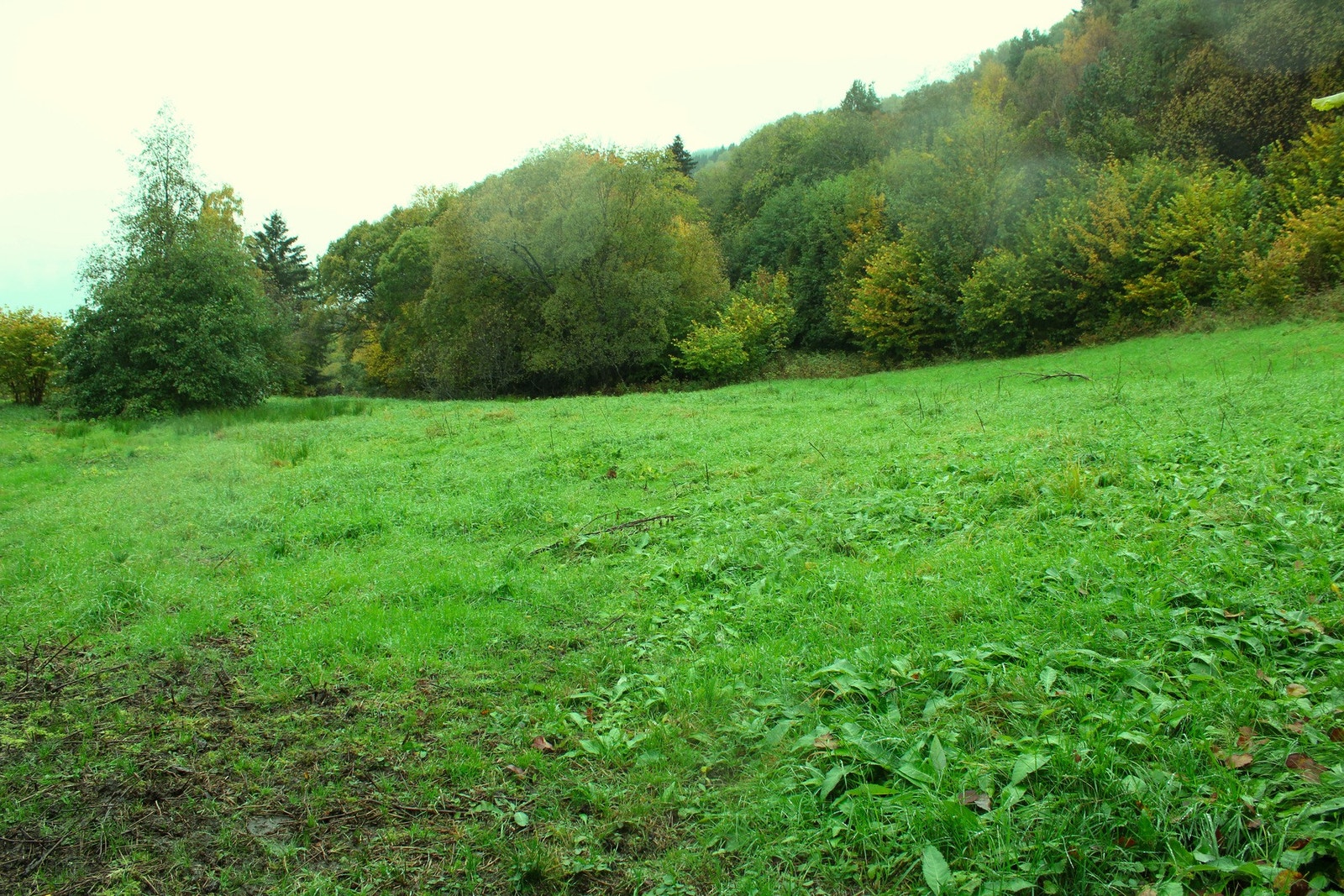 Røslia - dyrket mark Galleribilde