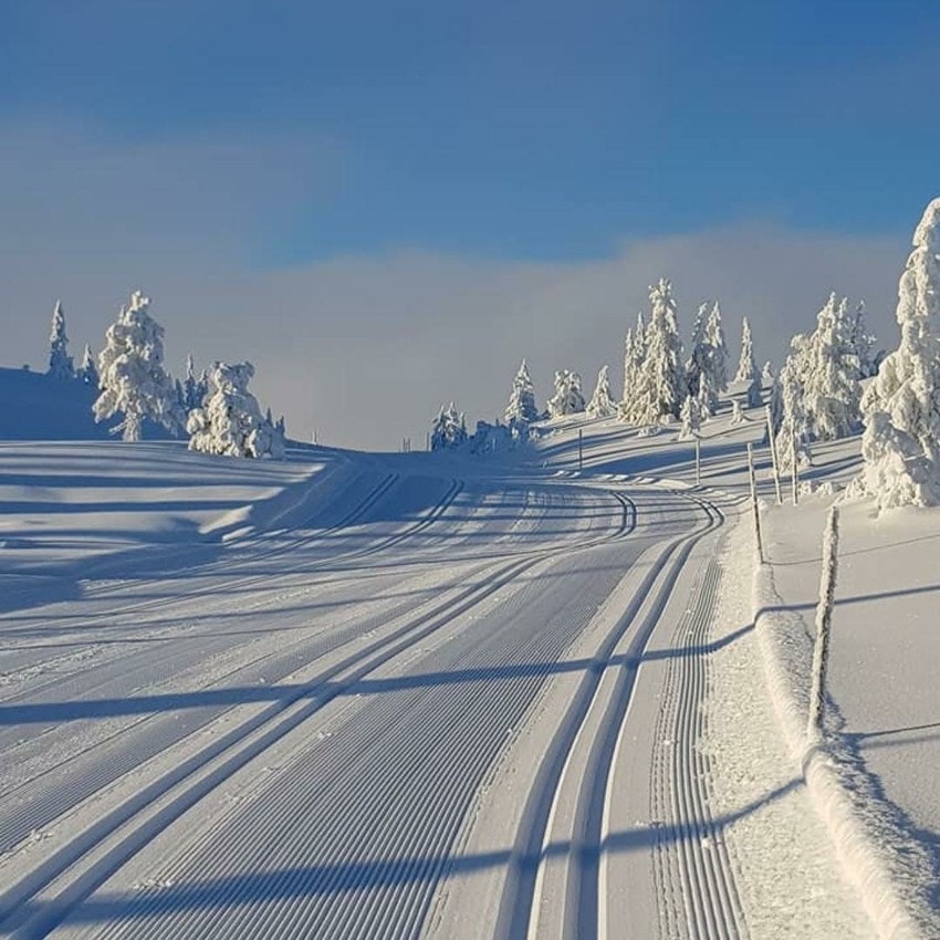 På vinteren er det flust av skiløyper som tar deg rundt forbi på Blefjell Galleribilde