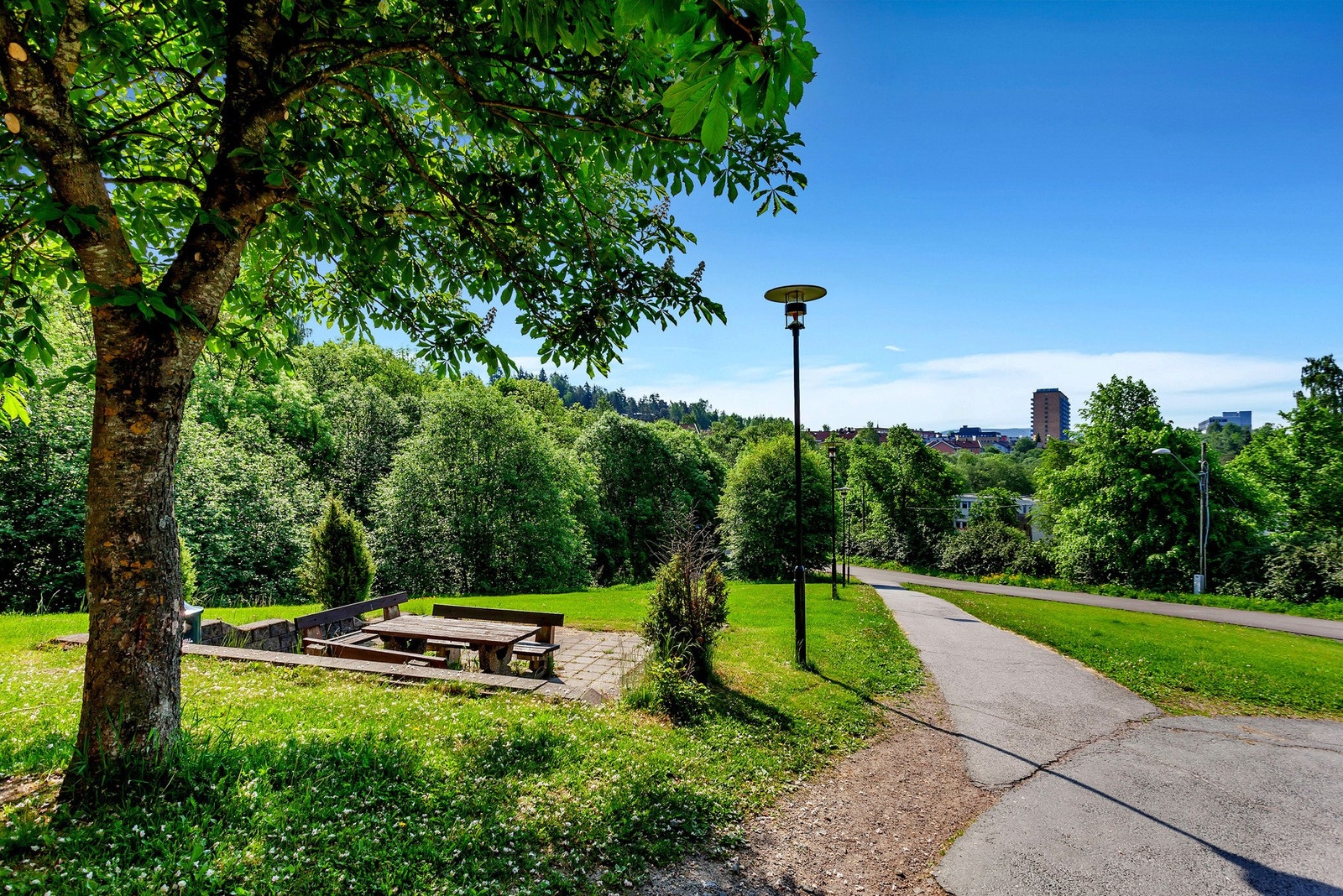 Ammerud er et flott sted, både sommer og vinter Galleribilde