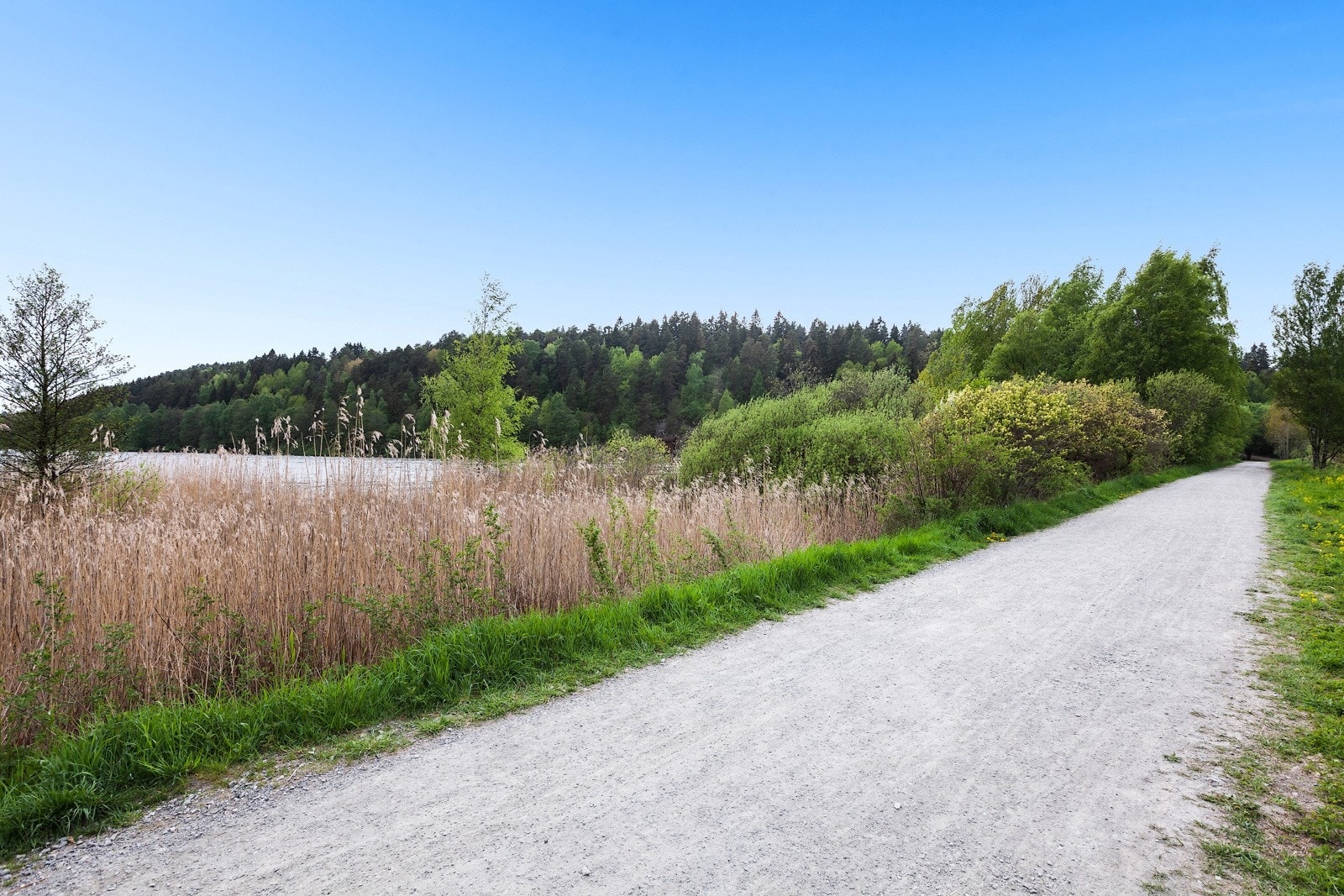 Leiligheten ligger rett ved Østmarka med fine turstier om sommeren og preparerte skiløyper om vinteren. Det er også kort vei til Østensjøvannet. Galleribilde