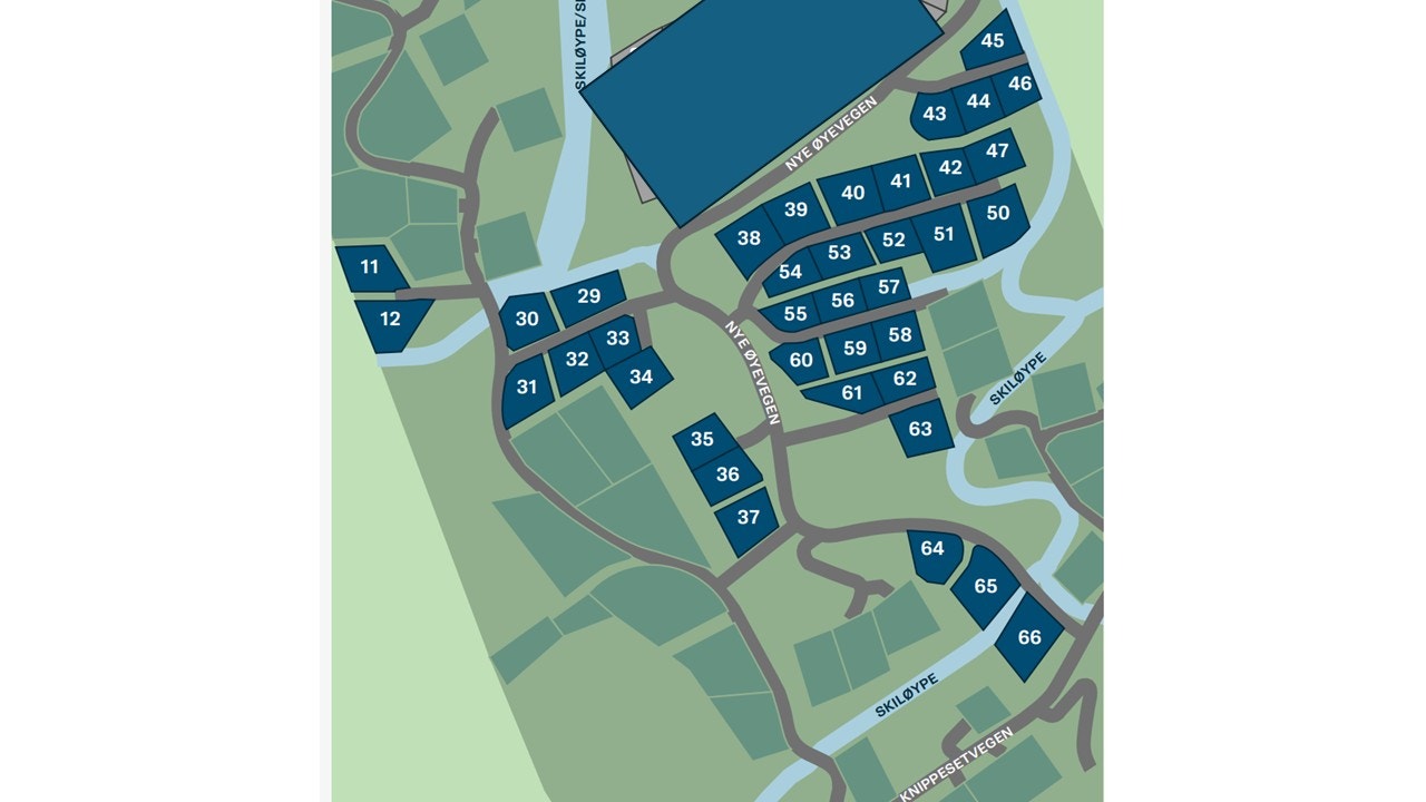 Hyttefeltet Brakastølen II Galleribilde