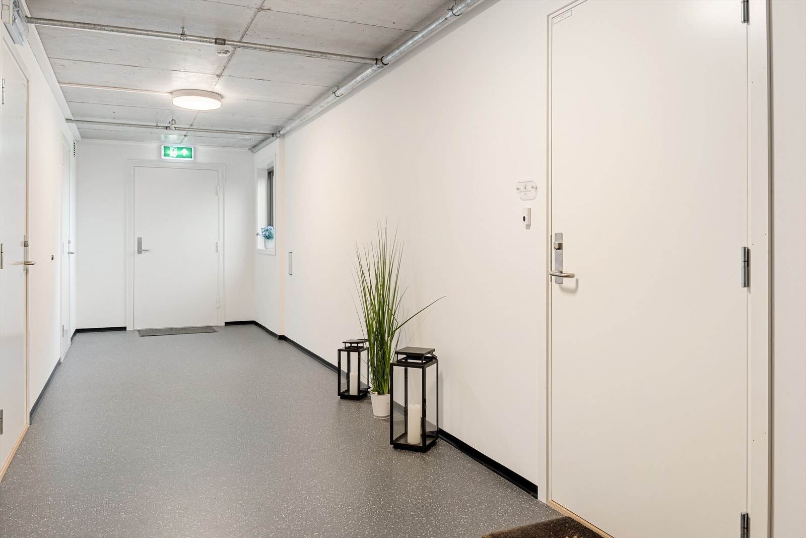 Fellesgang Galleribilde