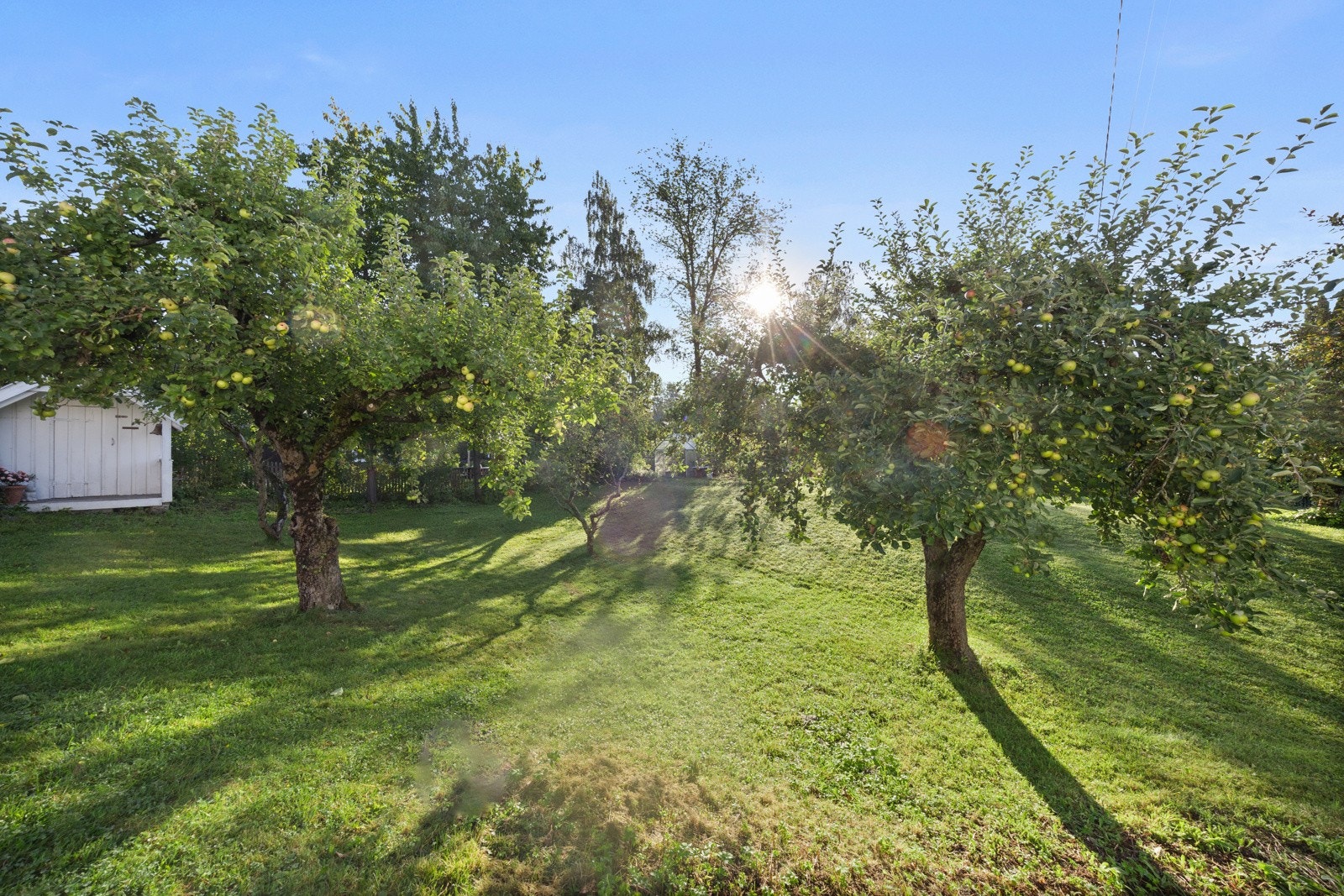 En idyllisk tomt utenom det vanlige! Galleribilde