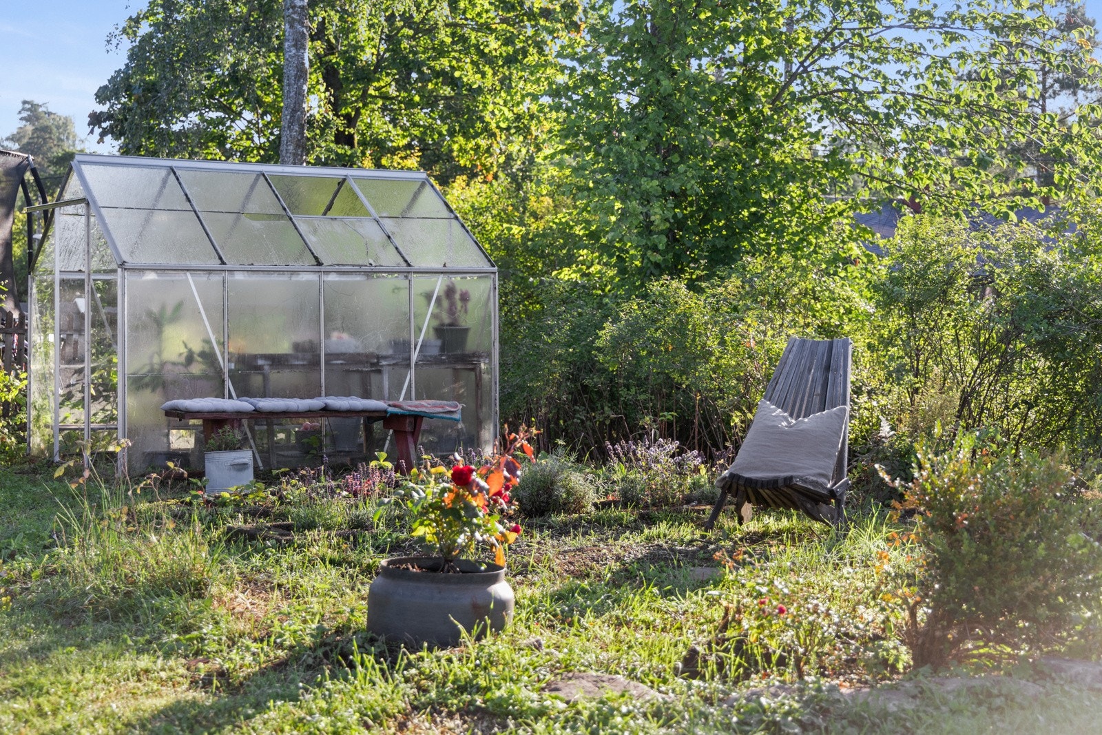 Et koselig drivhus hvor du kan plante og dyrke etter øsnke - her kan du plukke egne grønnsaker til middagen Galleribilde