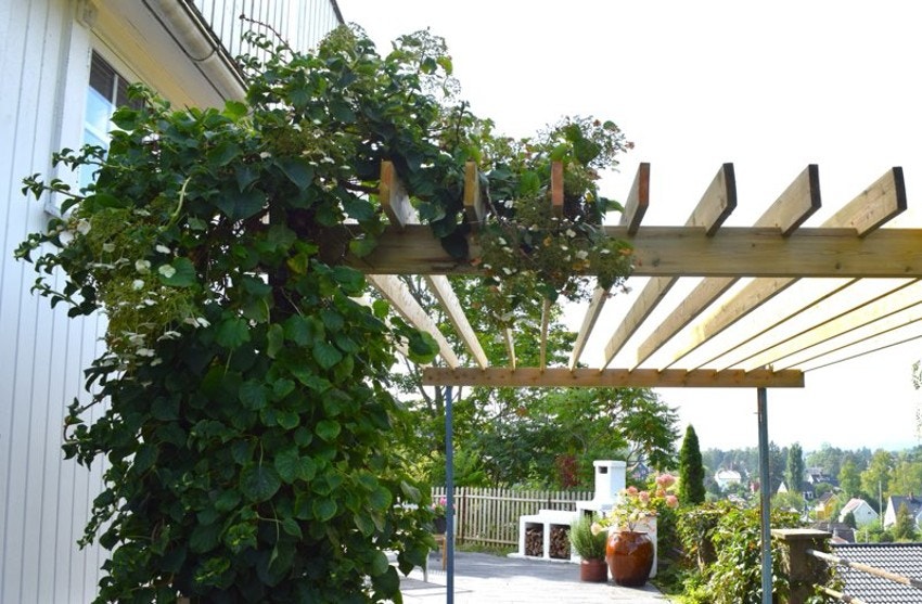 Boligen har flere flotte og solrike uteplasser Galleribilde