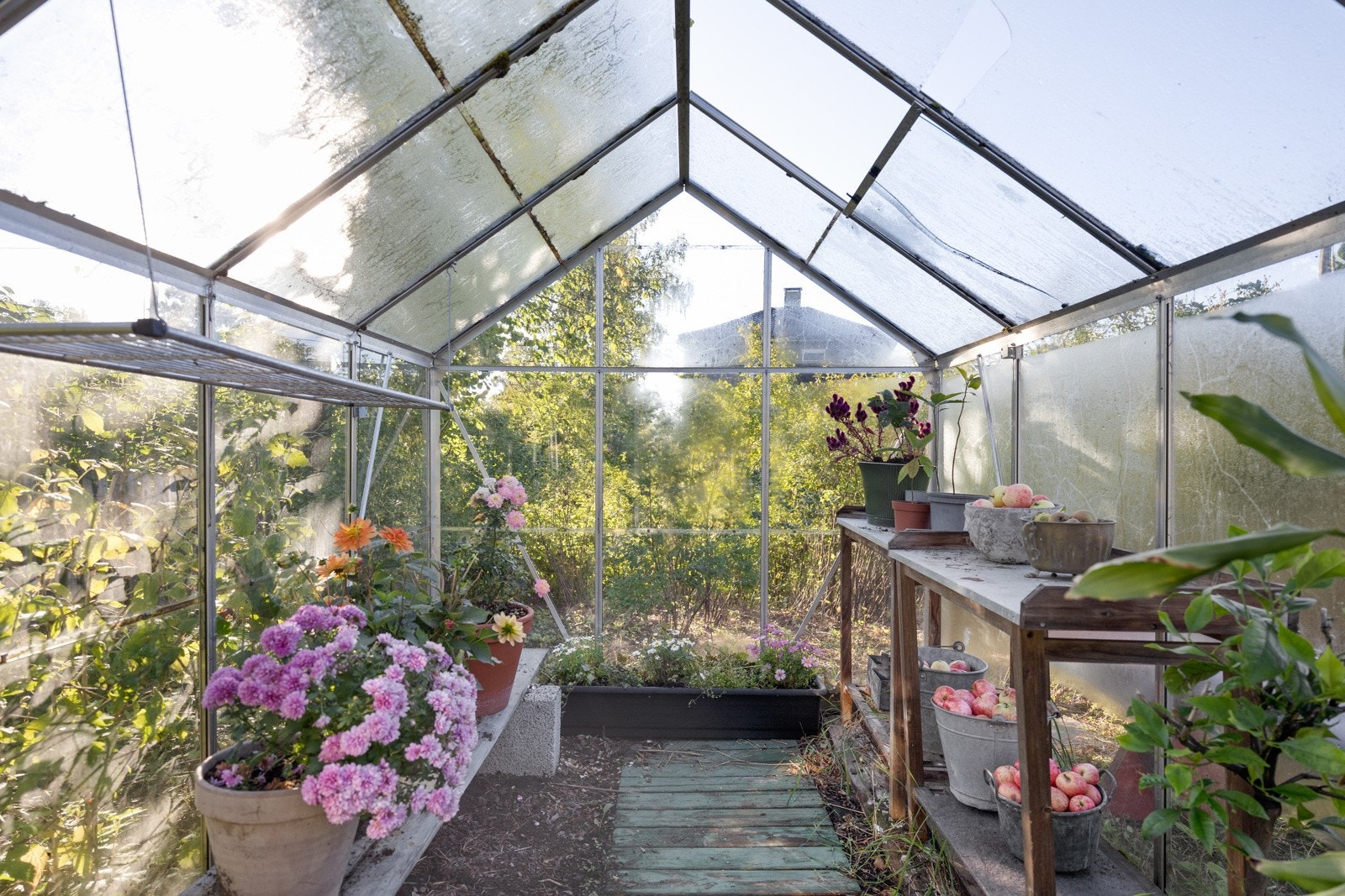 Her kan du kose deg med planter, blomster og dyrking i fred og ro Galleribilde