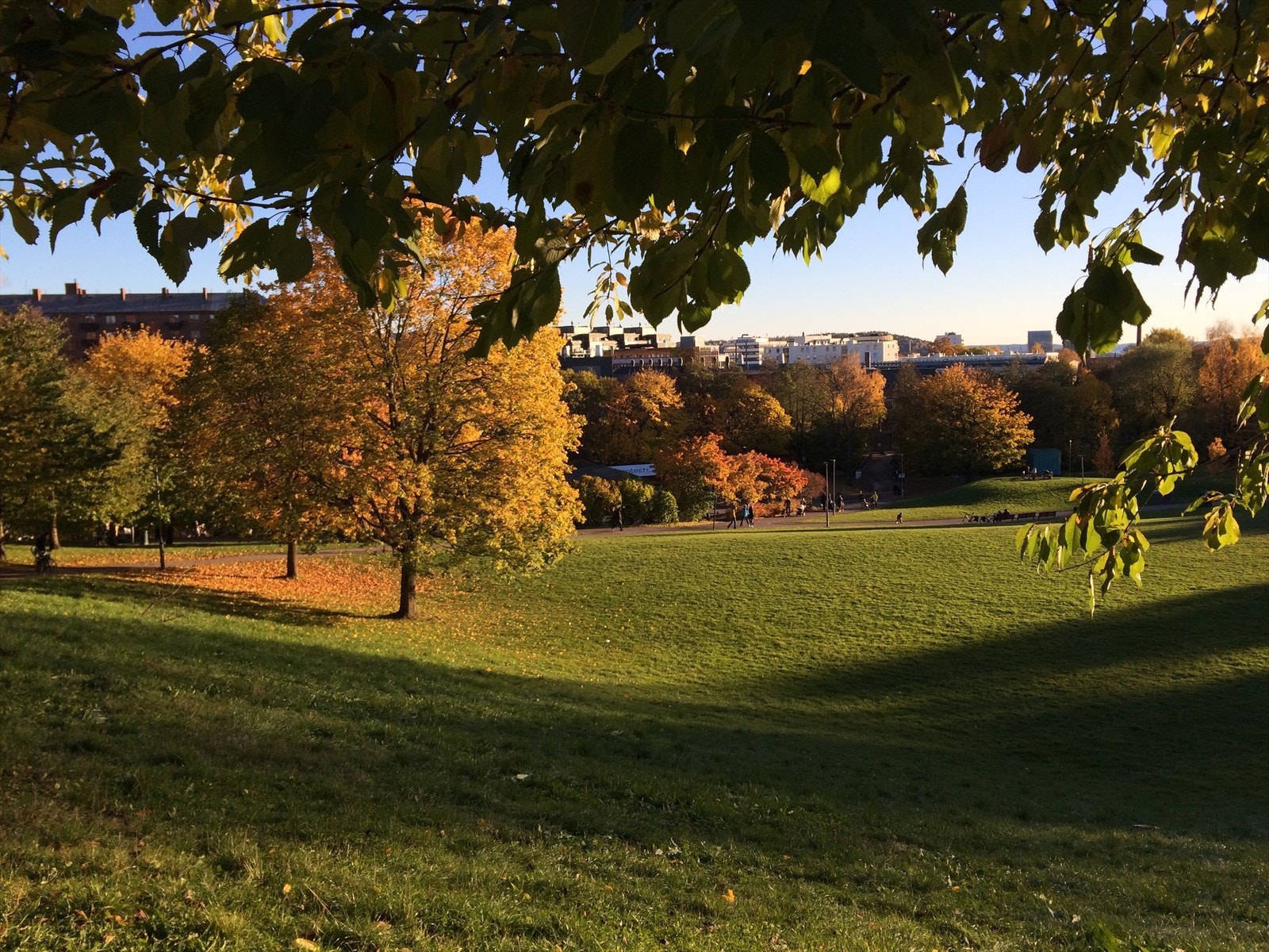 Torshovdalen i umiddelbar nærhet. Galleribilde
