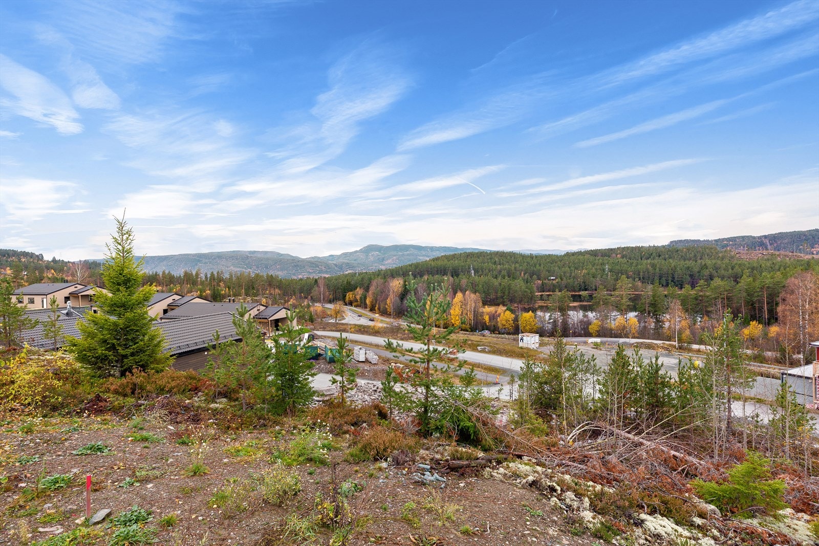 Nybuåsen Galleribilde