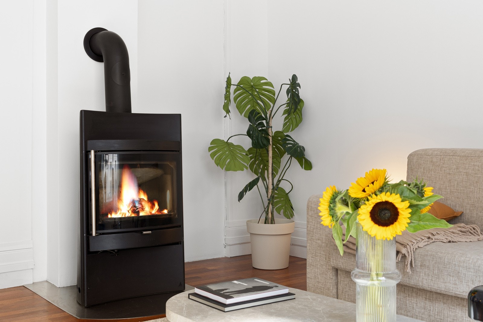 Moderne peisovn skaper god atsmofære og en lun varme. Galleribilde