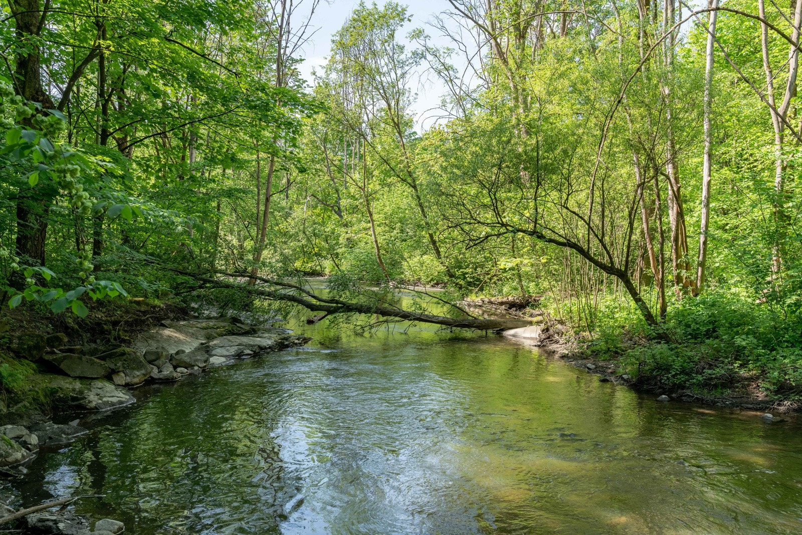 ..hvor du kan gå tur langs Alnaelvas flotte og frodige turløyper. Galleribilde