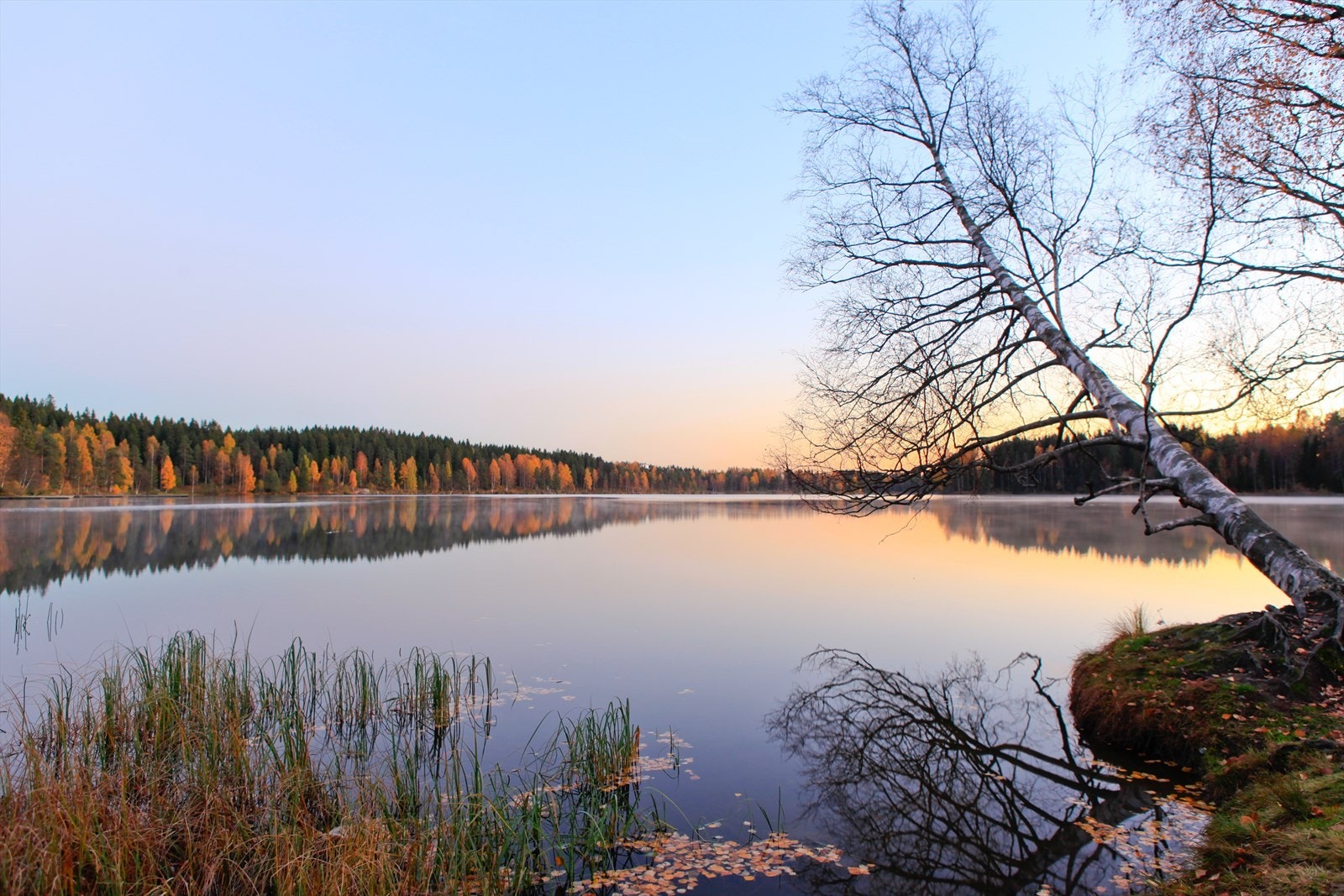 Sogsnveien 110 a ligger en rask spasertur unna Sognsvann, et yndet friområde med badeplass v/inngangsporten til Nordmarka. Galleribilde