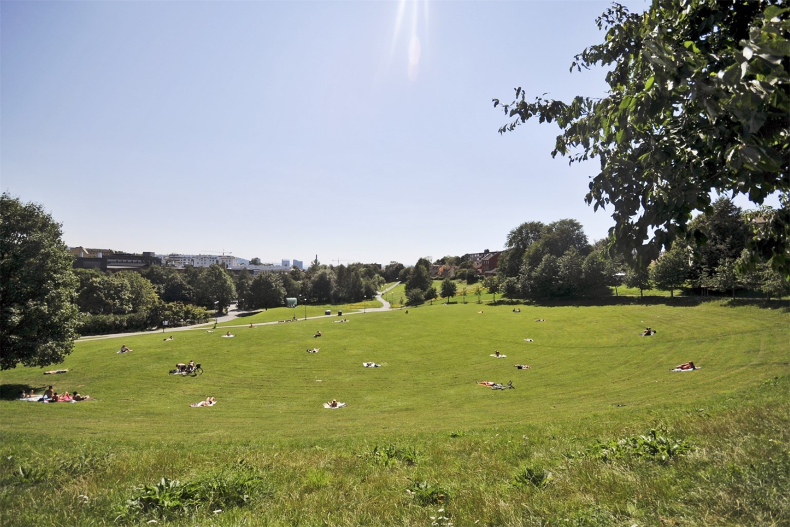 Populære Myraløkka er rett utenfor døren Galleribilde