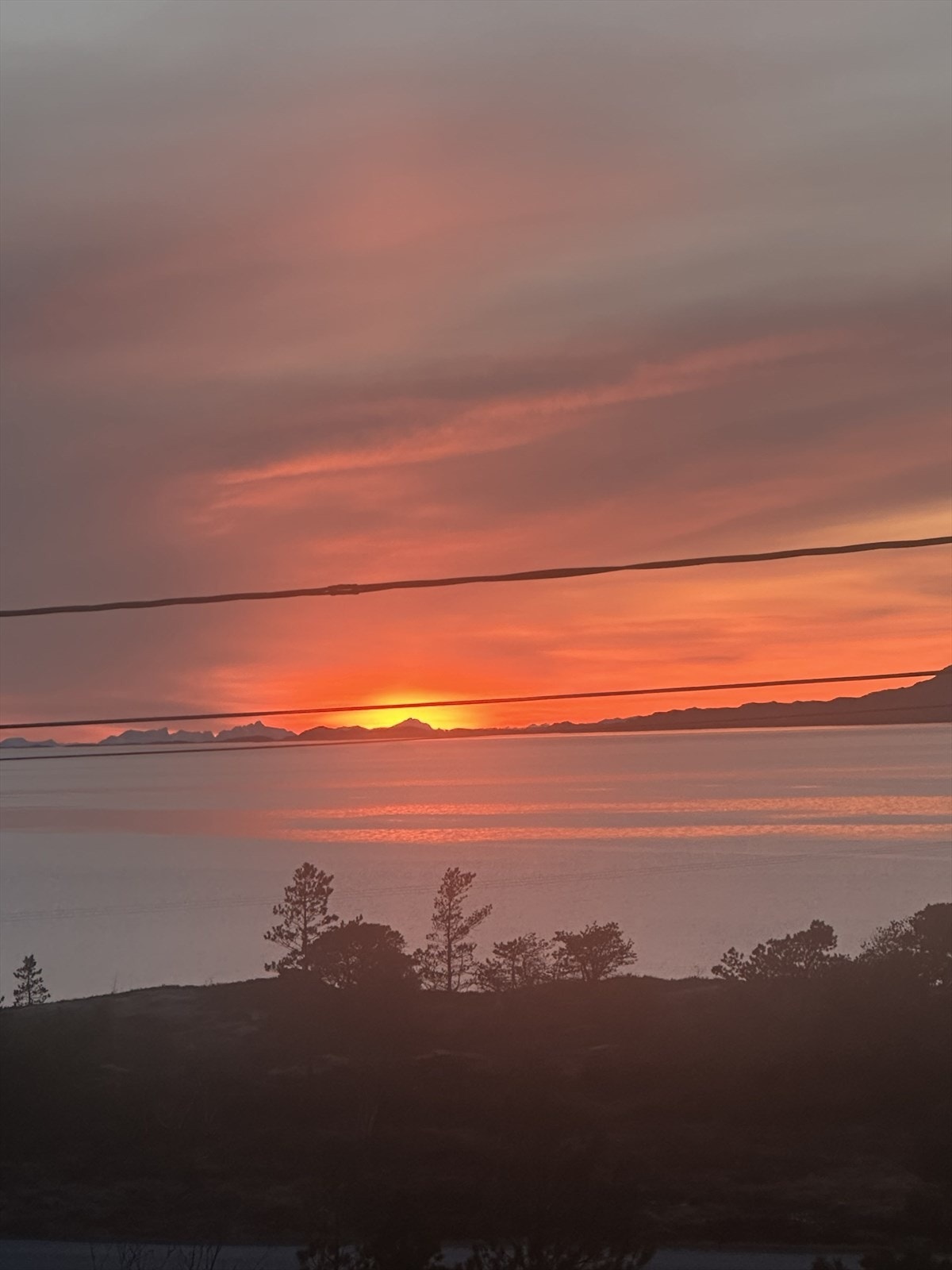 Privat foto Galleribilde