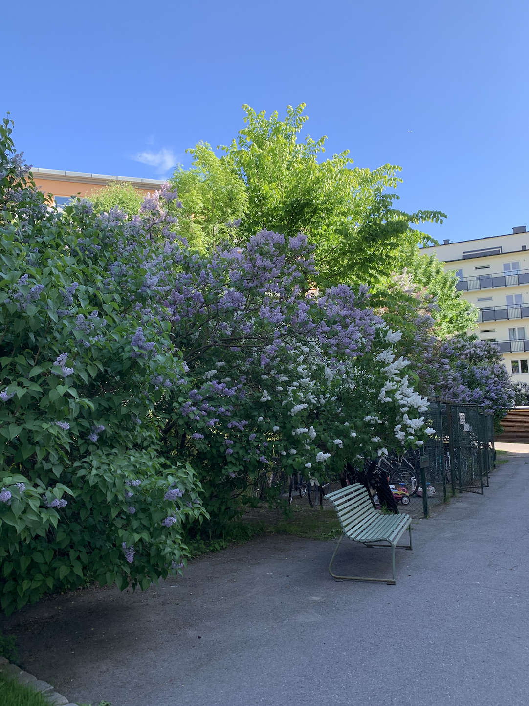 Borettslaget har hyggelige fellesarealer. Galleribilde