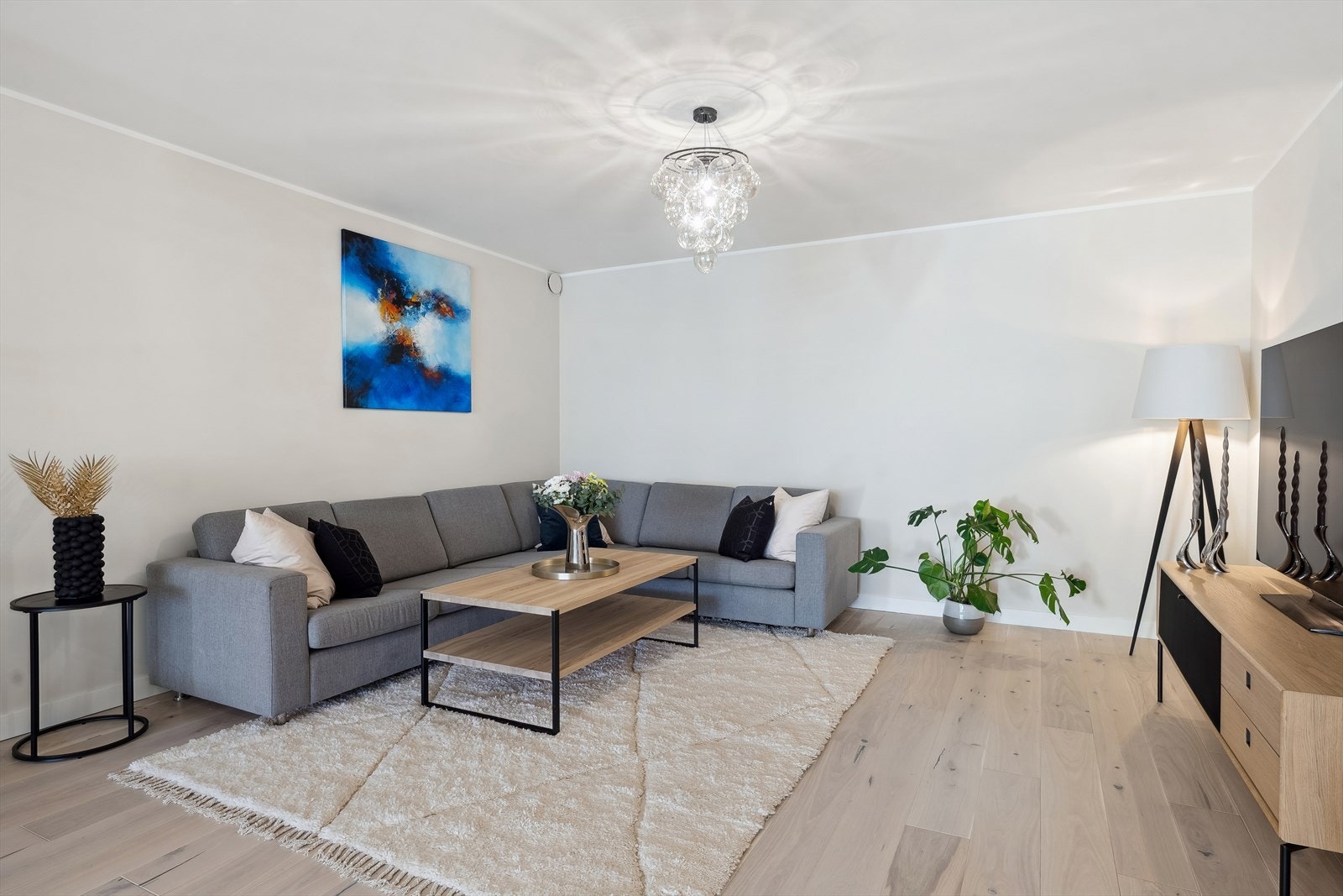 Tv-stue Galleribilde