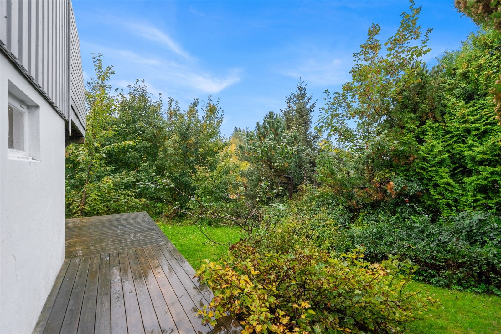 Terrasse Galleribilde