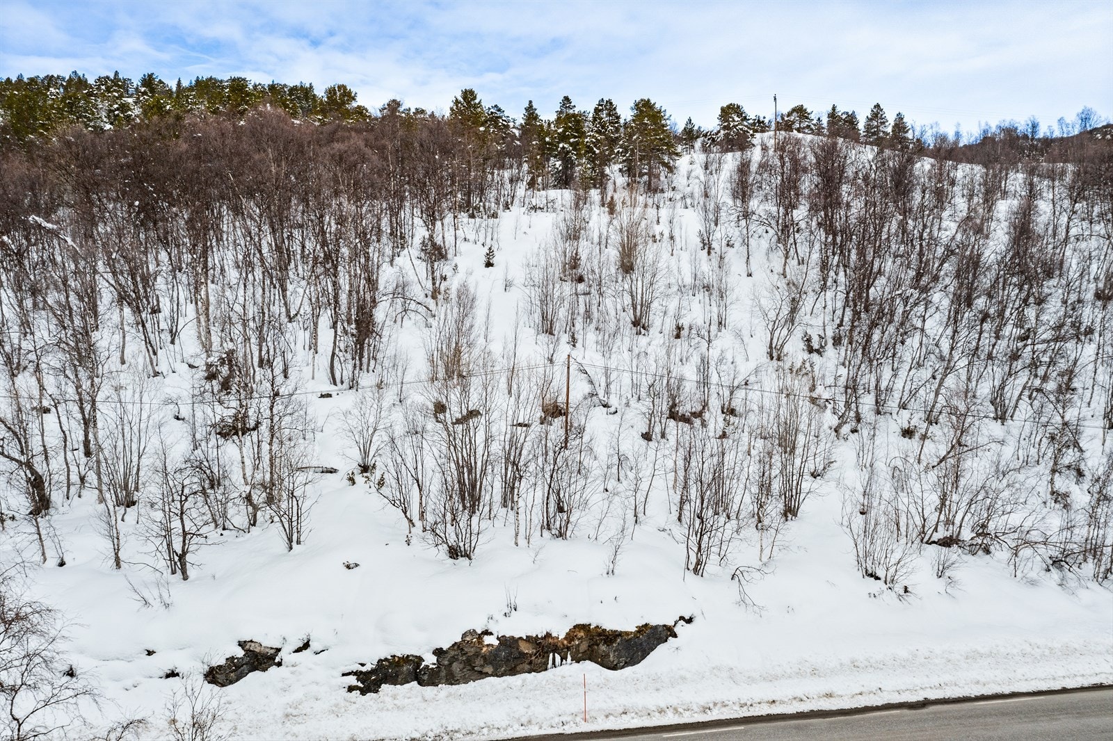 Råtomt Galleribilde