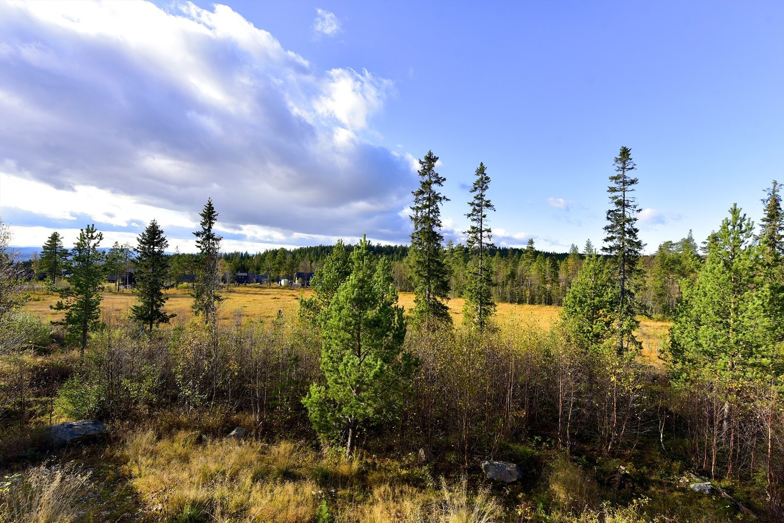 Eiendommen grenser til friarealer i nord-vest. Dette er med på å gjøre beliggenheten noe mer skjermet og usjenert Galleribilde