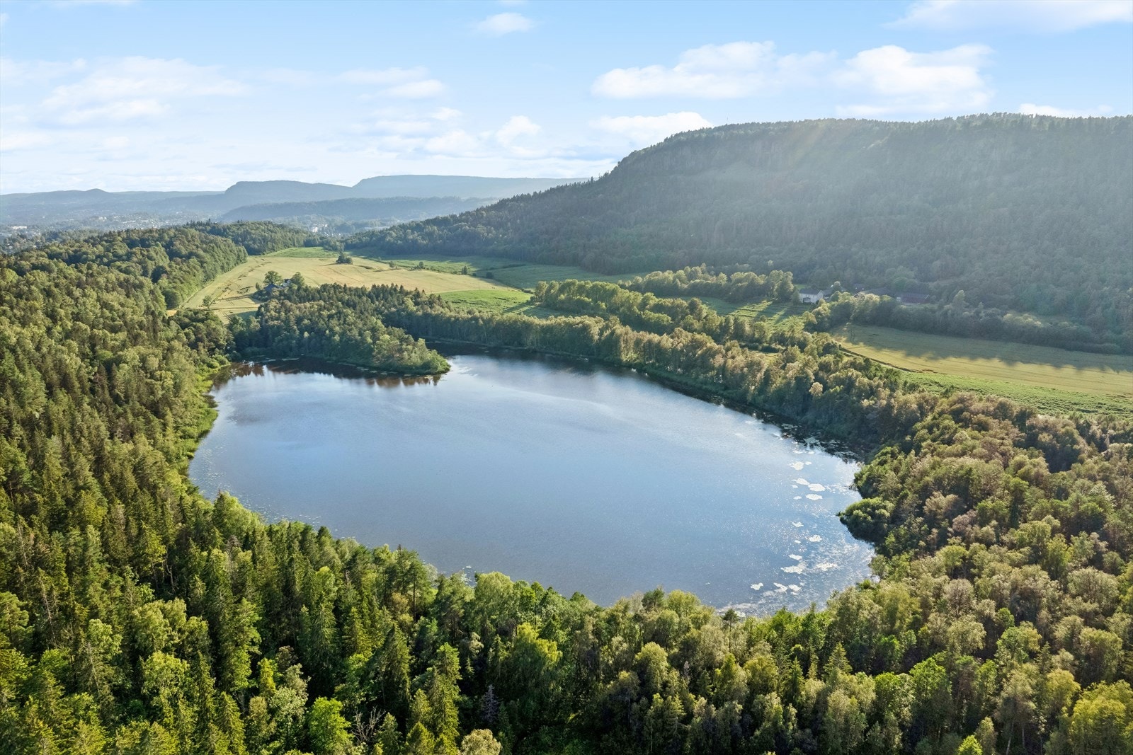 Dælivann har status som naturreservat og ligger en kort tur fra boligen Galleribilde